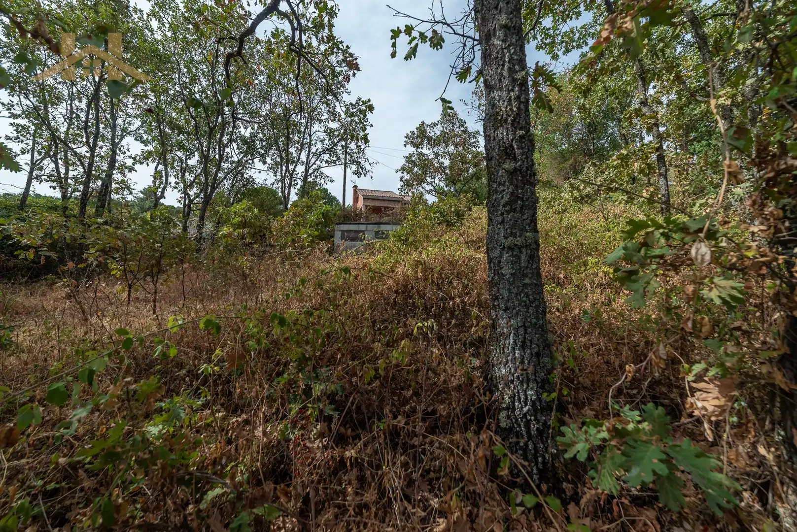 Residential zum Verkauf in Navahondilla