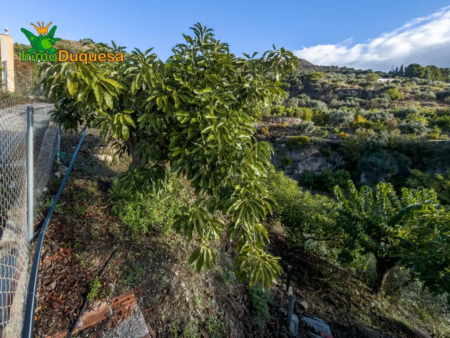 Casa rústica en venta en Calle Diseminados, Pol-8 Par-359 000, imagen 33