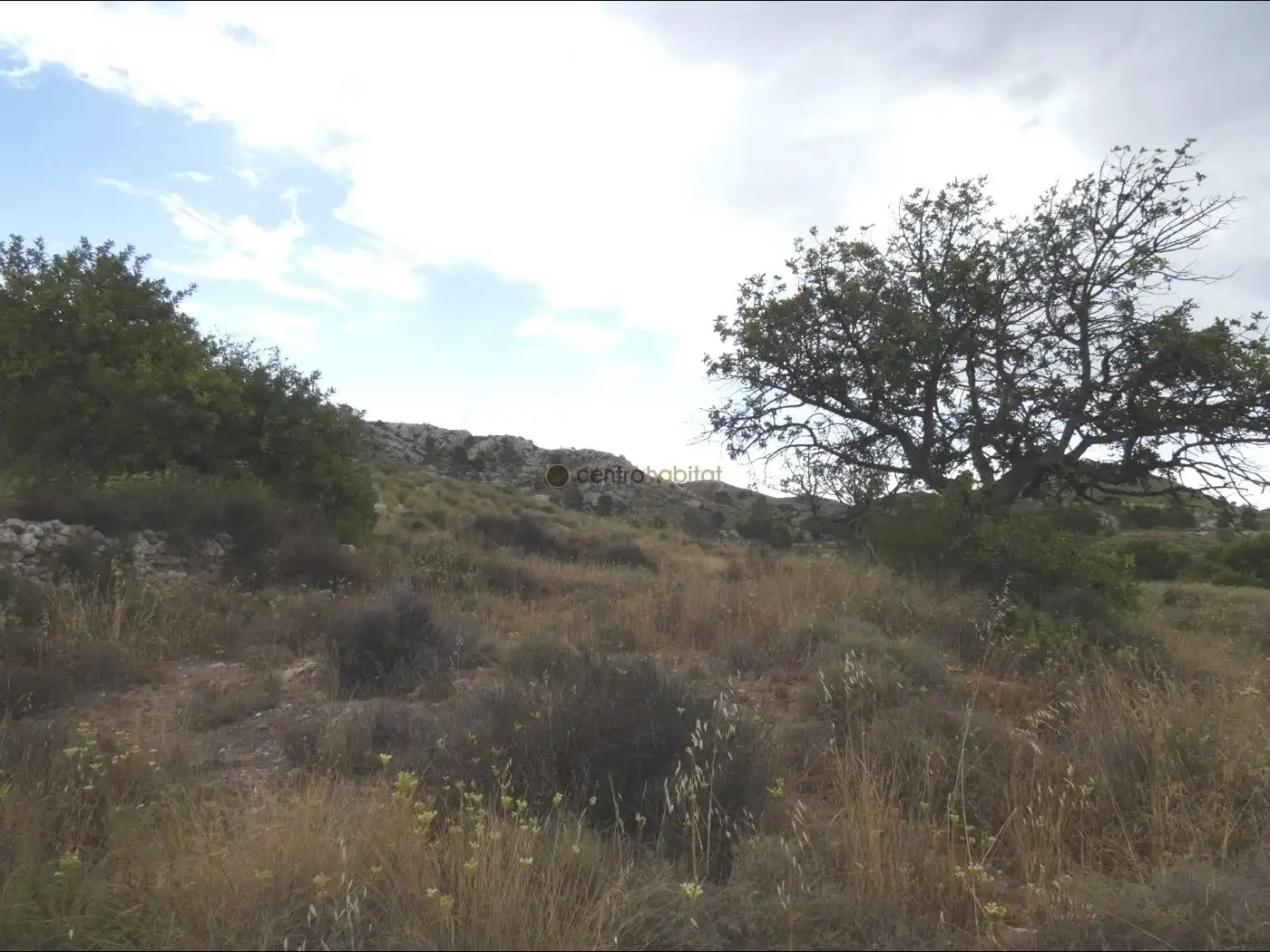 Terreno rustico in vendita a Petrer, imagen 7