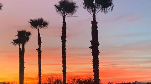 Foto 2 von Country house zum Verkauf in Vereda Sobreviñas, Dolores, Alicante