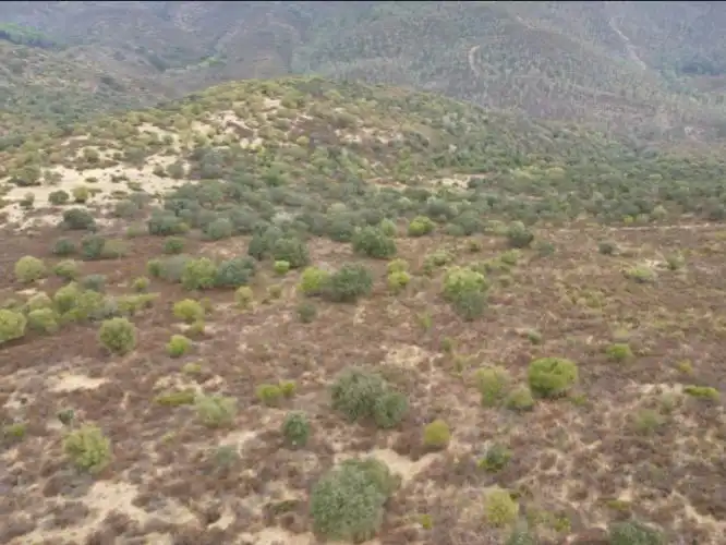 Terreno en venta en Zalamea la Real