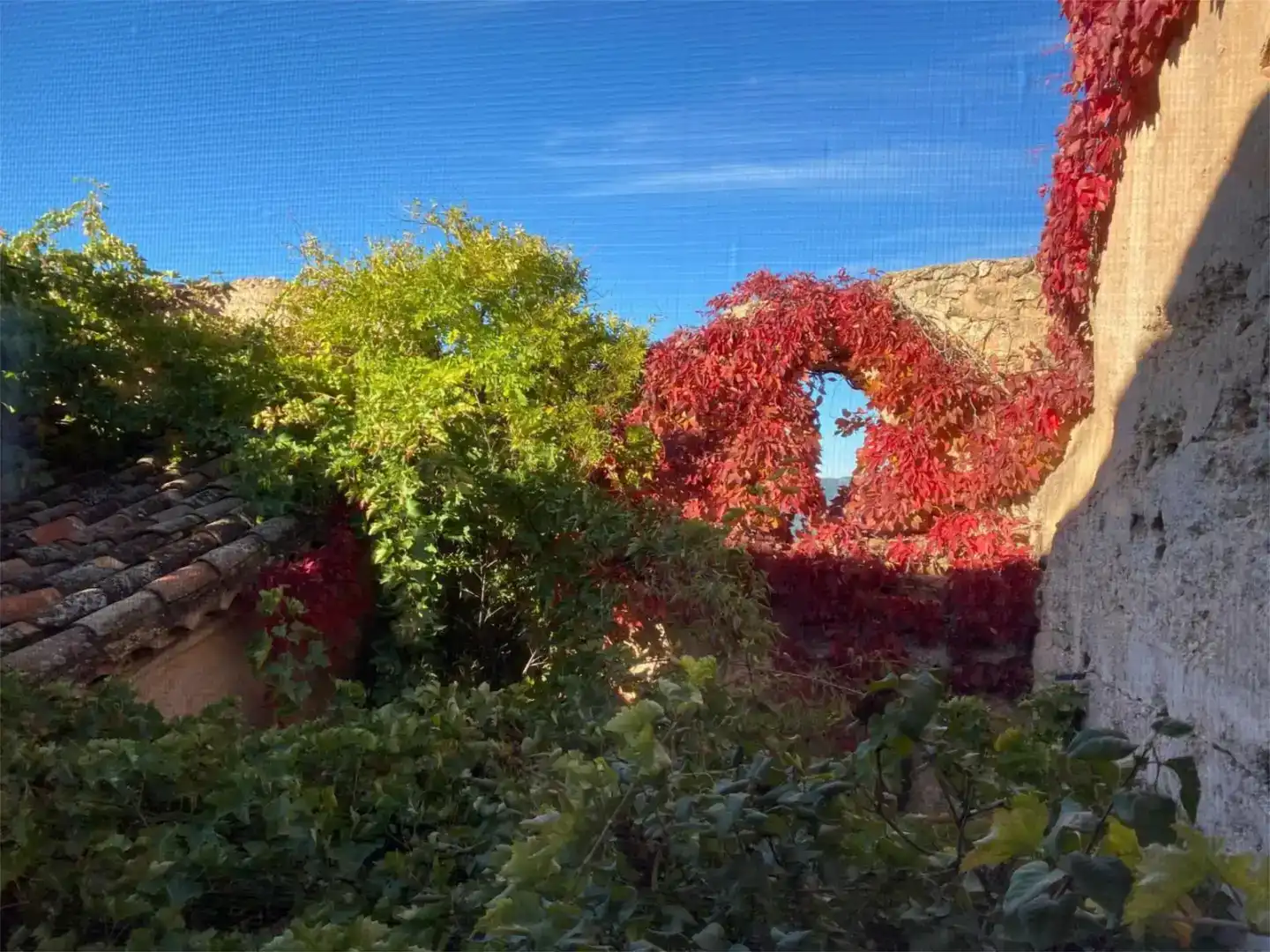 Jardí de Casa adosada en venda en Segura de la Sierra, Jaén