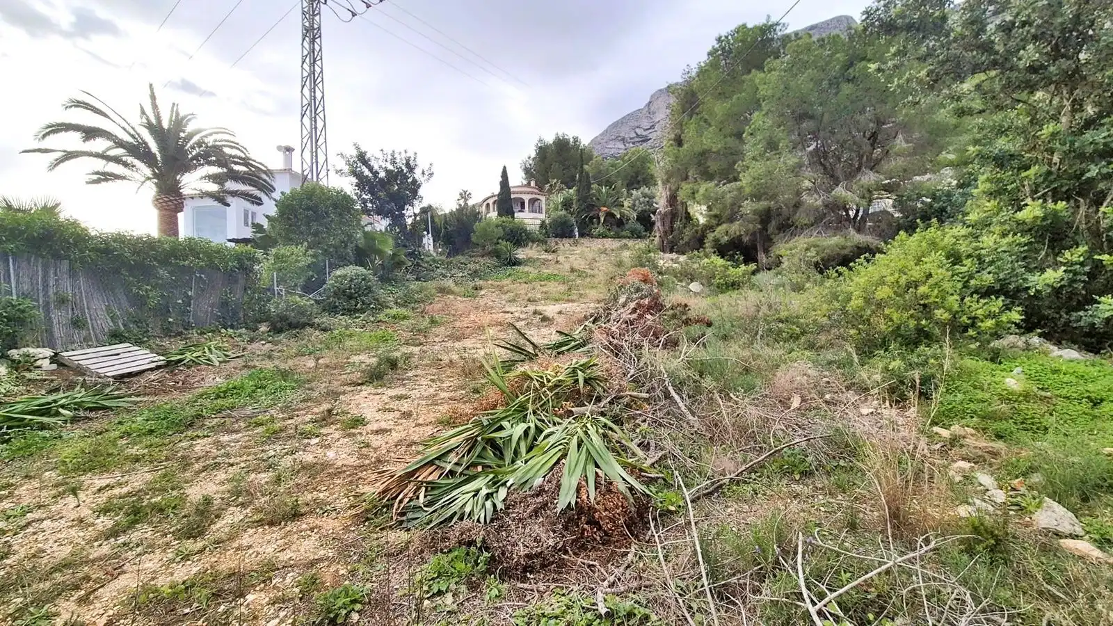 Terreni e lotti in vendita a Avellana, imagen 15