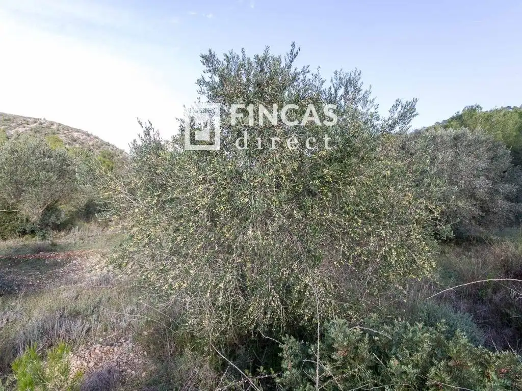 Finca rústica en venda en Benissanet