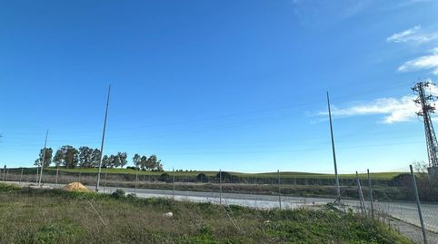 Foto 4 de Residencial en venta en El Junquillo - Vistalegre, Utrera