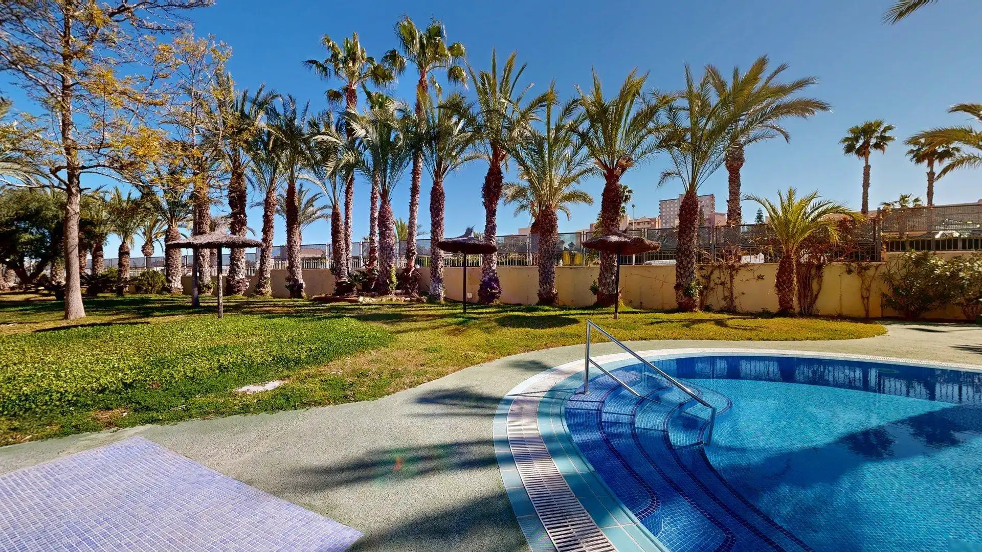 Swimming pool of Apartments for rent in Elche / Elx  with Air Conditioner, Heating and Private garden