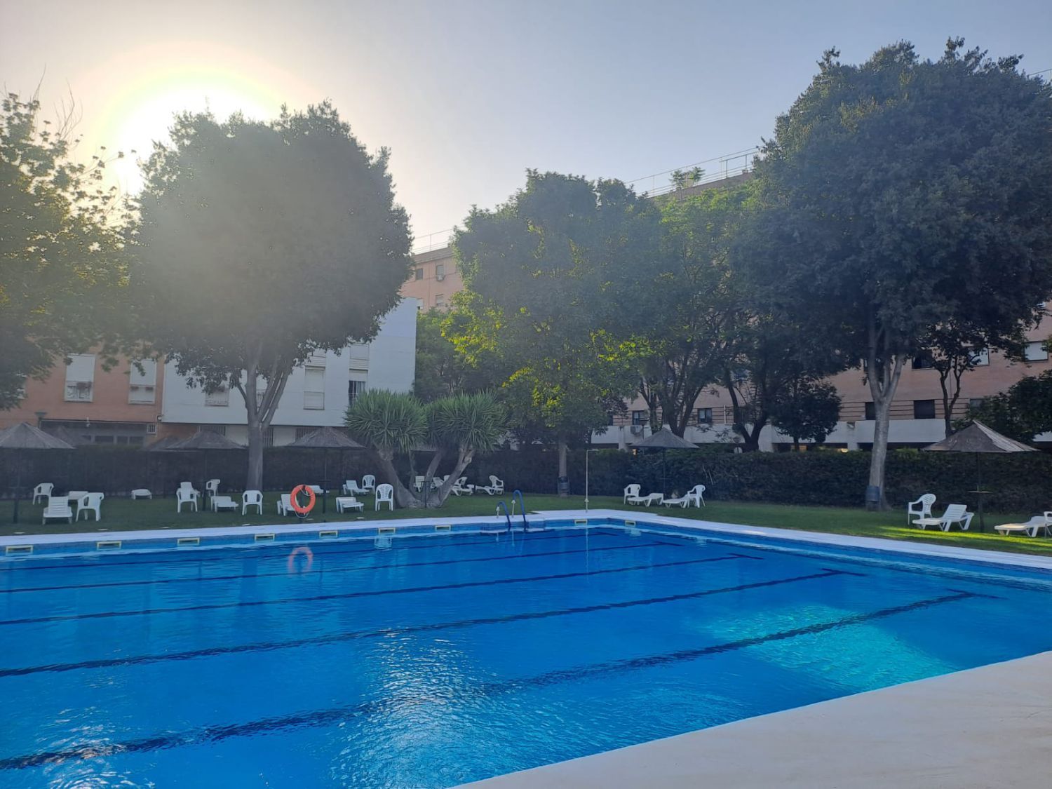 Swimming pool of House or chalet for sale in  Sevilla Capital  with Air Conditioner, Heating and Private garden
