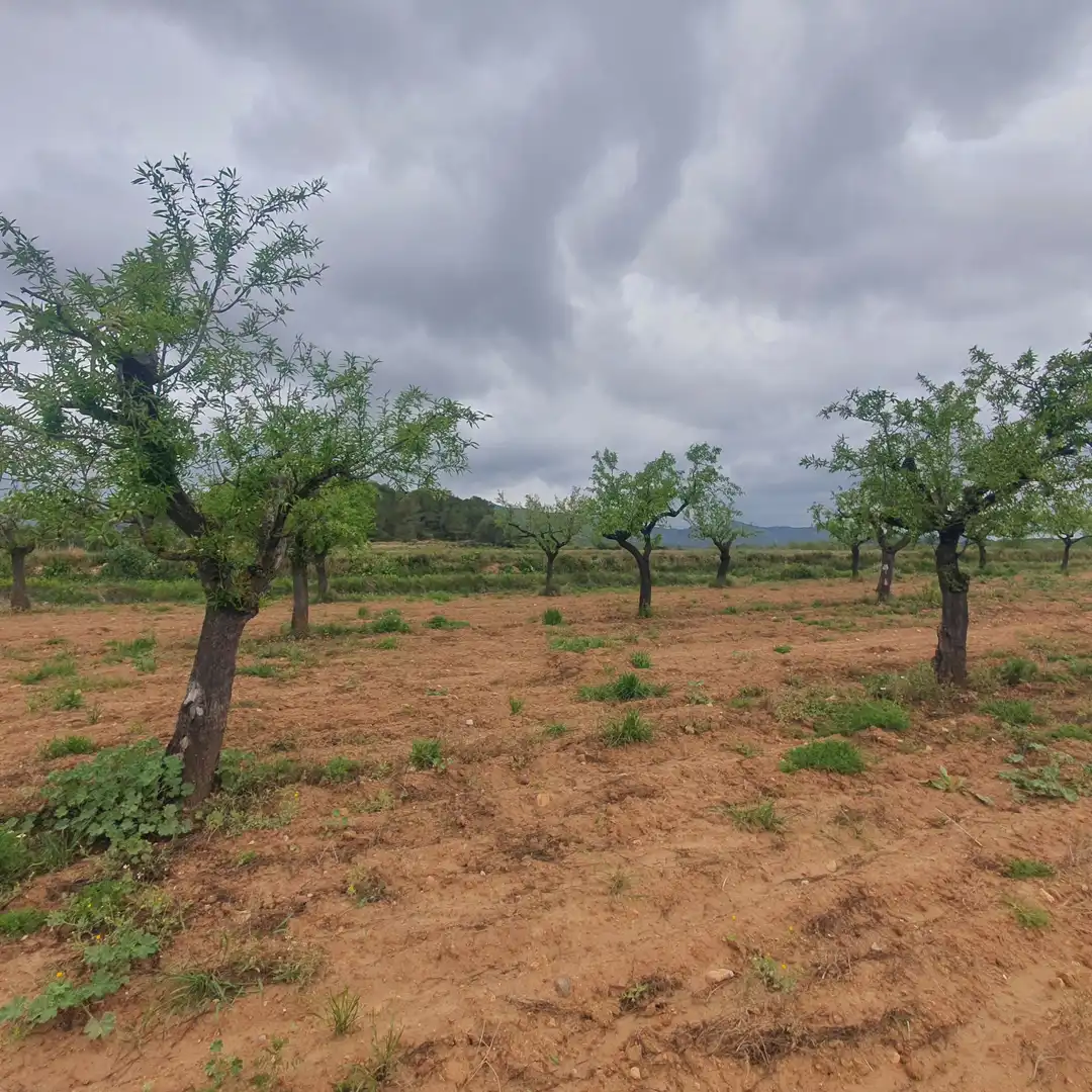 Rustikales Grundstück zum Verkauf in El Pinell de Brai, imagen 7