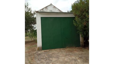 PARCELA CON POZO NAVE, imagen 2