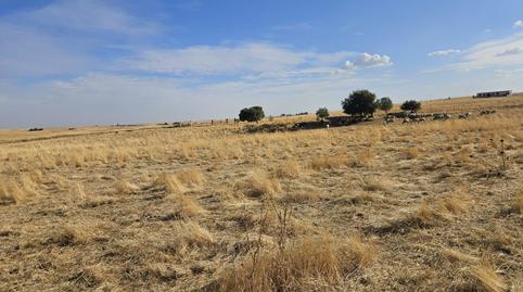 Photo 2 of Land for sale in Cpqw+w5 Sierra de Fuentes, Spain, -1, Sierra de Fuentes, Cáceres
