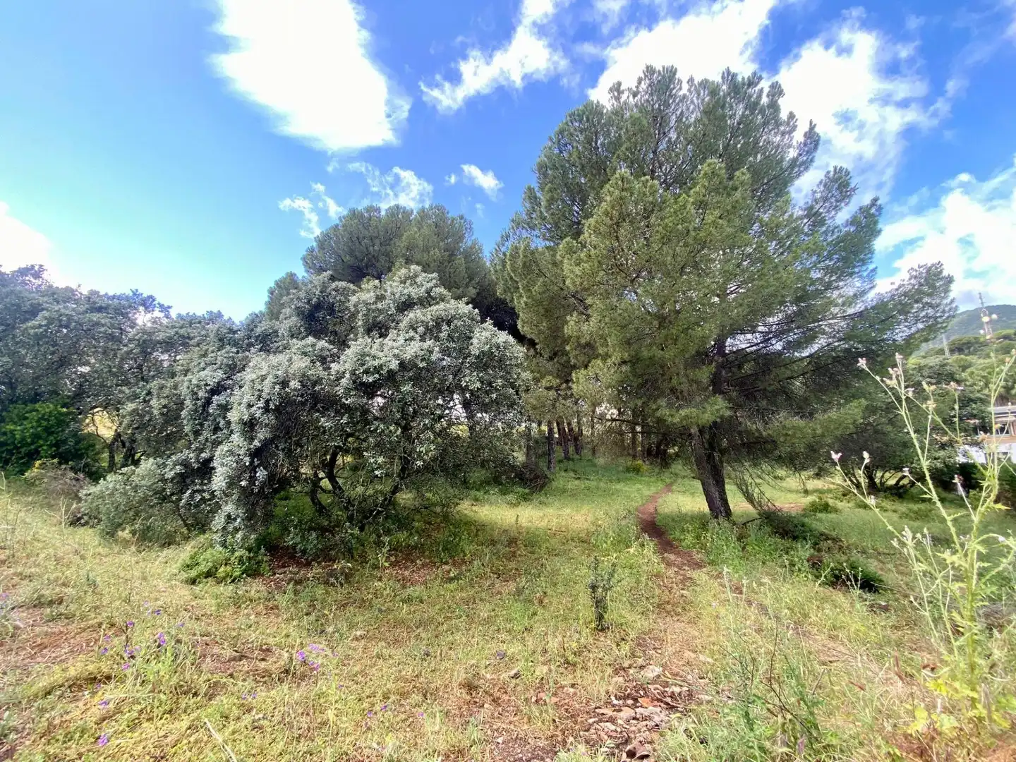 Residential land for sale in Periurbano Norte, imagen 5