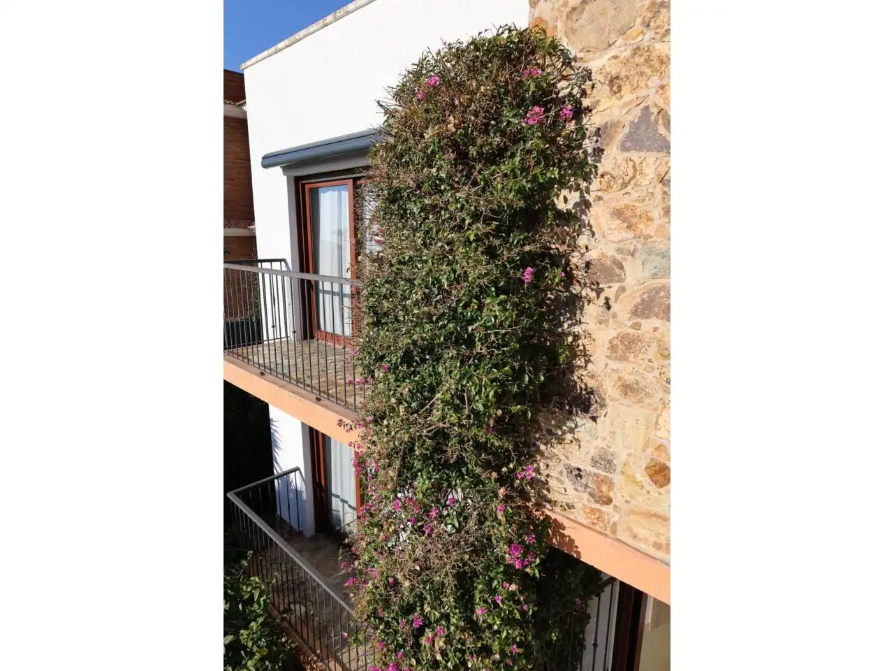 Casa amb jardí en venda a Calle de les Violetes, imagen 46