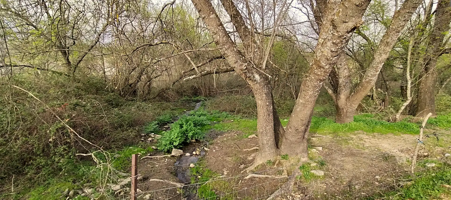 Terreno en venta en Collado de la Vera