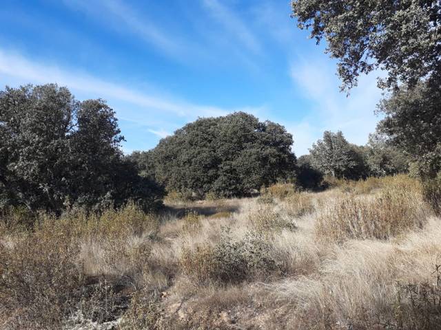 Terreno en Venta en Calle la Cañada, 1 en Melgar de Tera