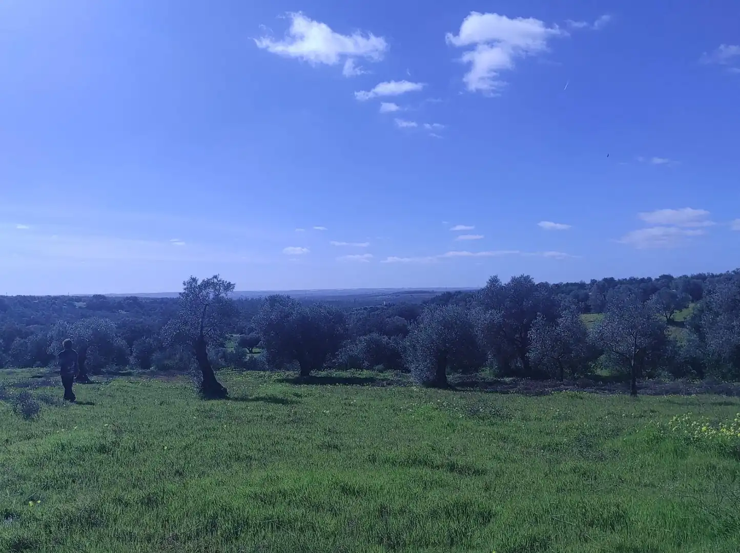 Terreni e lotti in vendita a Beas, imagen 34