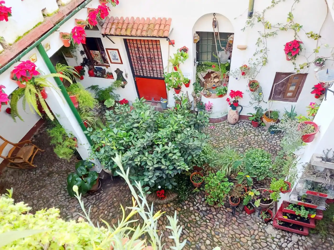 Maison à vendre à Centro, imagen 24