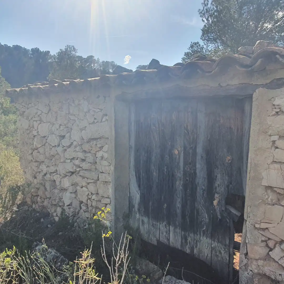 Terrain rustique à vendre à Benifallet, imagen 22