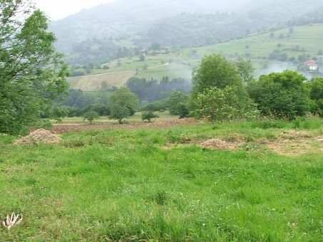 Terreno residencial en Venta en Cangas de Onís