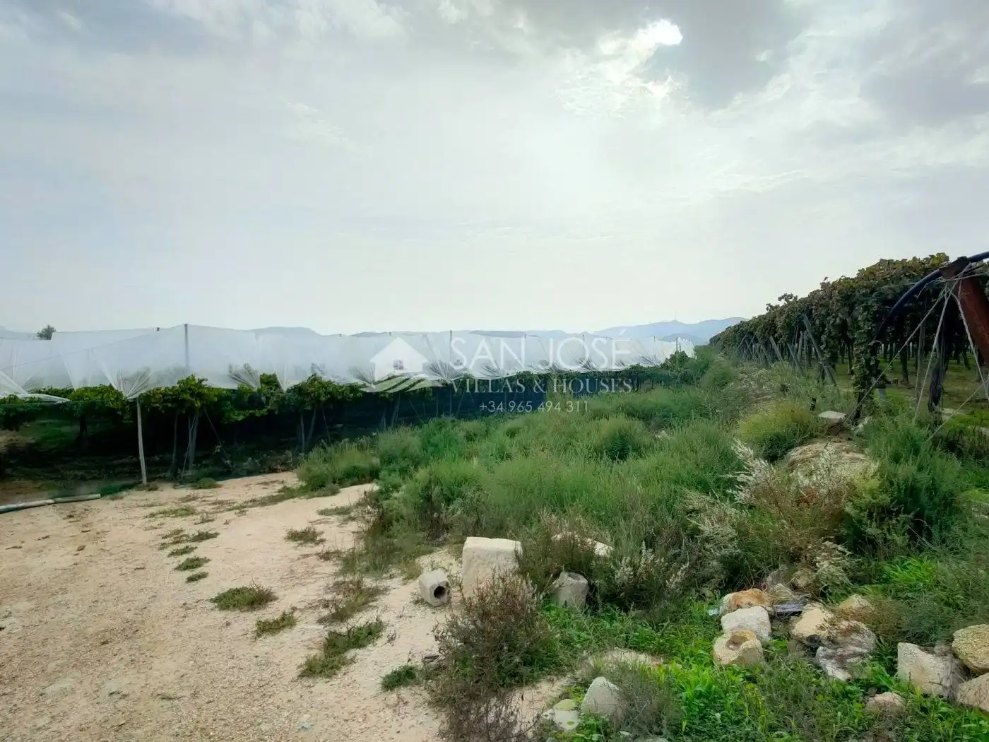 Casa o xalet en venda en Aspe