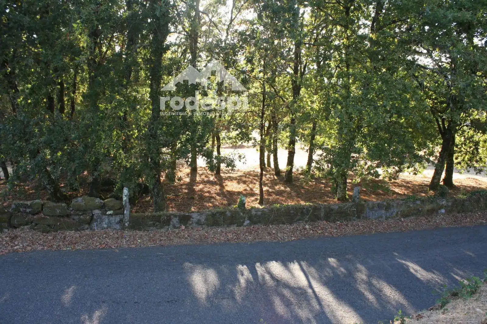 Lands and plots for sale in Mondariz, imagen 3