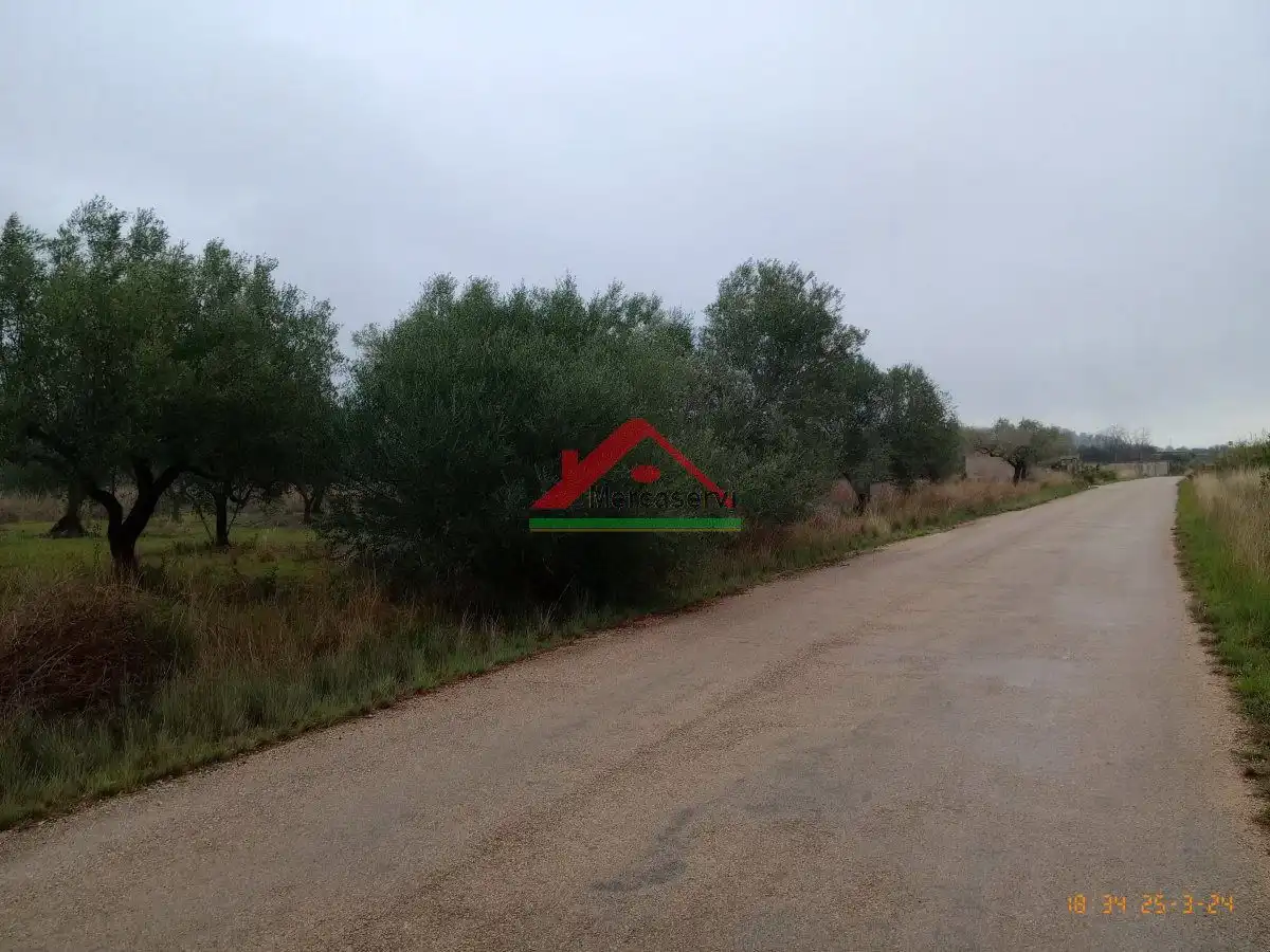 Finca rústica en venta en Vinaròs