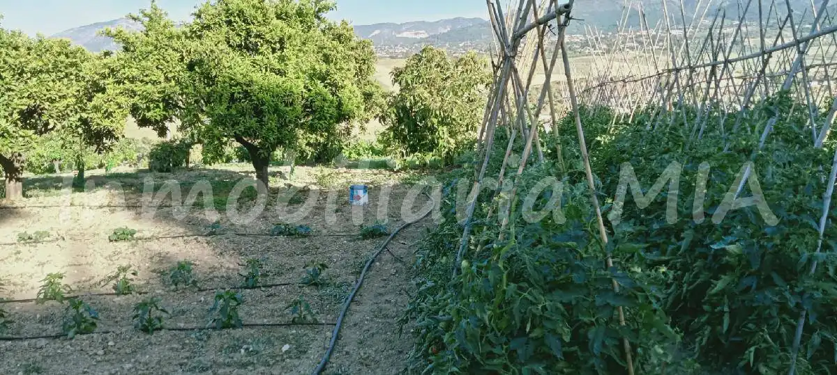 Jardín de Casa o chalet en venta en Alhaurín de la Torre