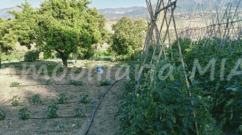 Foto 3 de Casa o xalet en venda a Centro, Alhaurín de la Torre