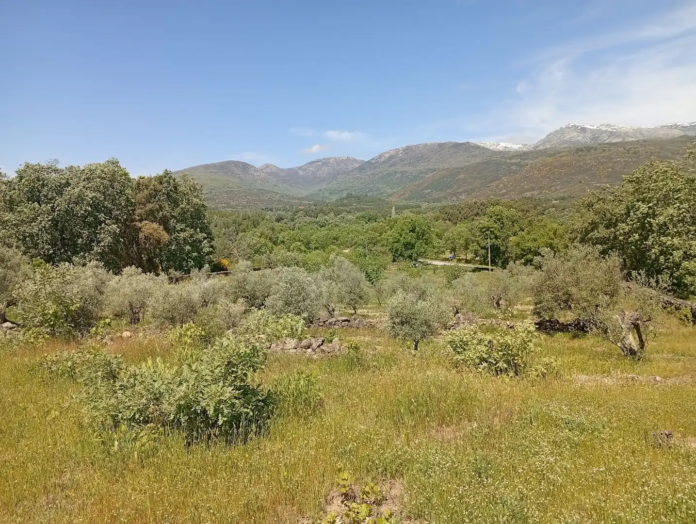 Terreni e lotti in vendita a Villanueva de la Vera, imagen 119