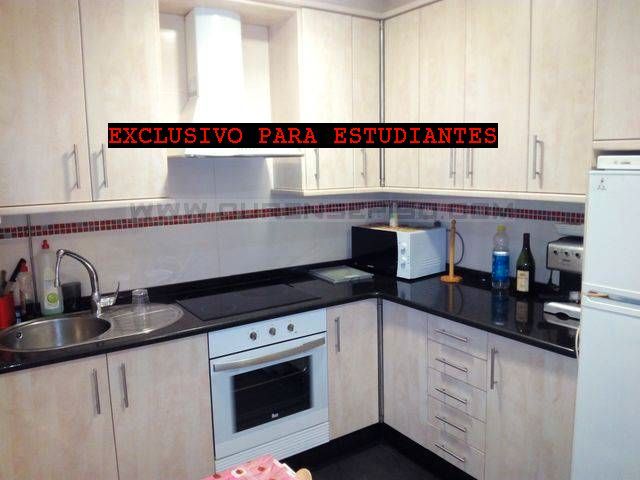 Kitchen of Flat to rent in Ourense Capital   with Heating and Furnished