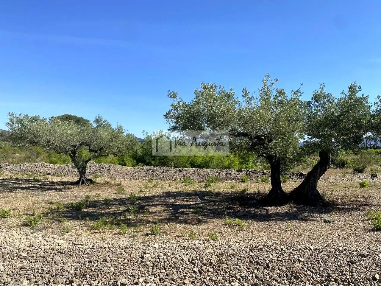 Terreno rustico in vendita a Rabasada, imagen 5