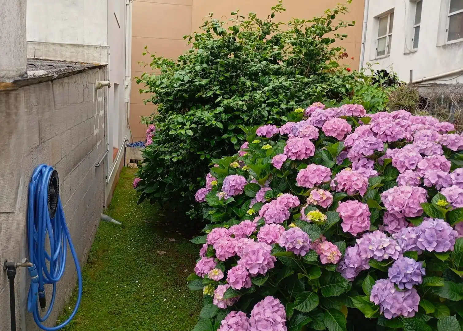 Jardí de Casa o xalet en venda en Arteixo amb Calefacció
