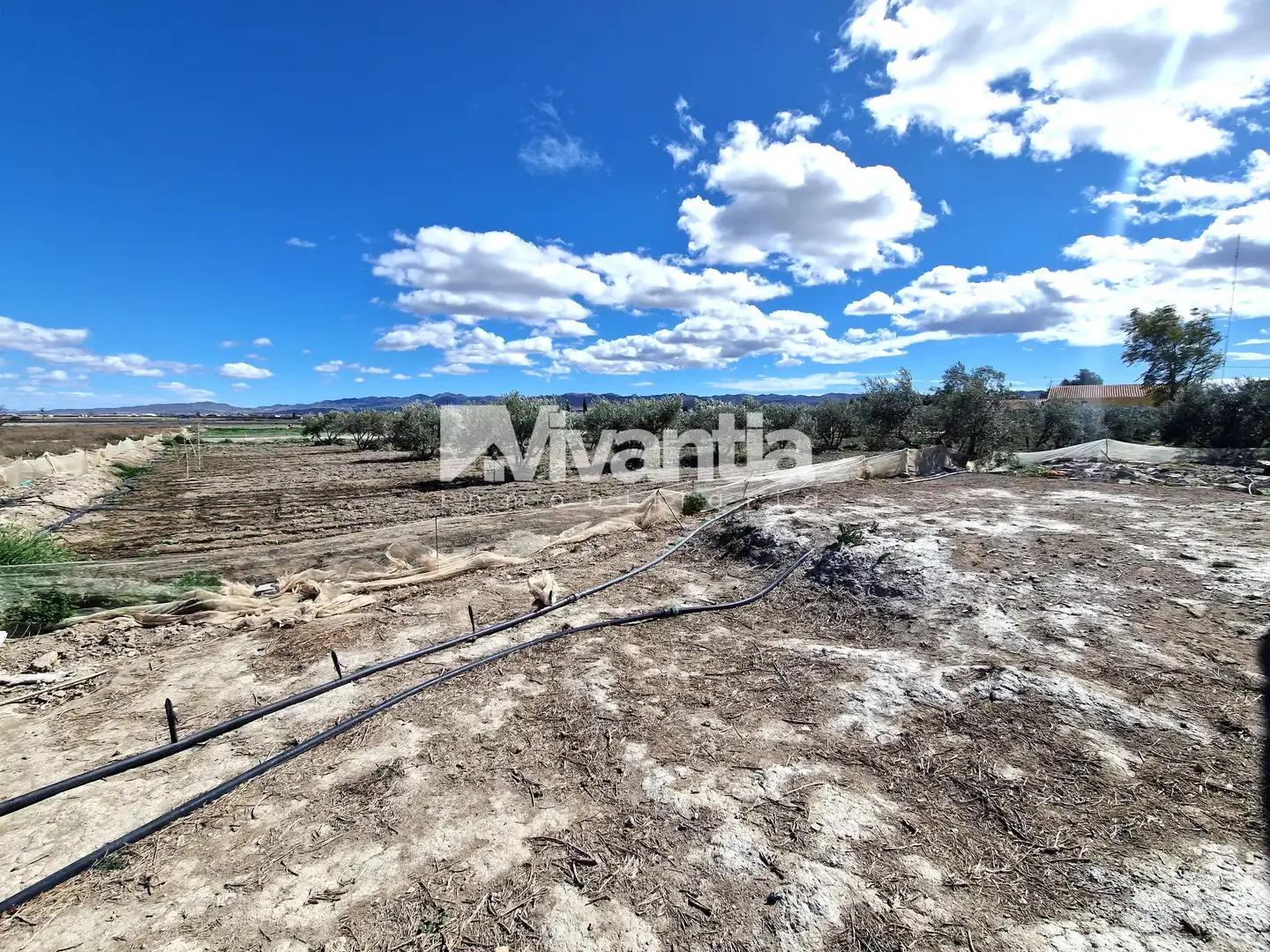 Xalet amb jardí en venda a Pedanías Centro, imagen 52