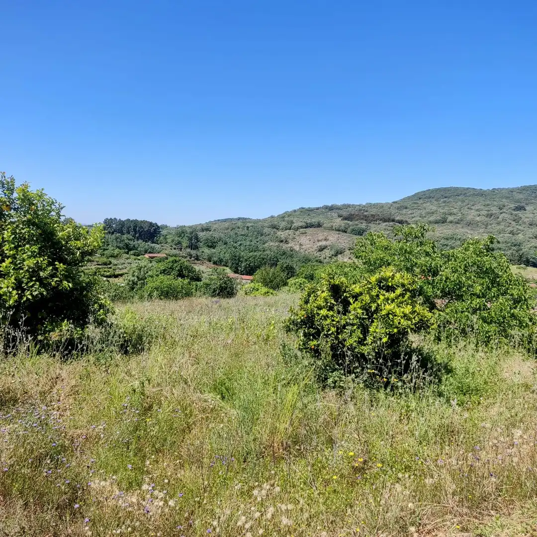 Terreni e lotti in vendita a Jarandilla de la Vera, imagen 7