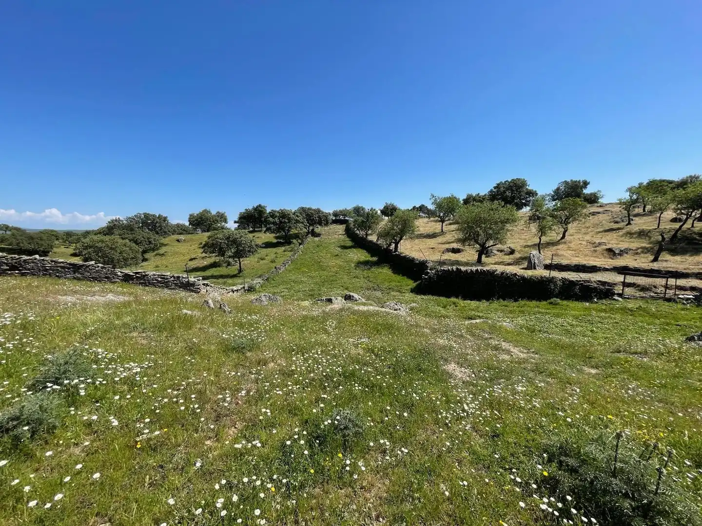 Terreni e lotti in vendita a Garrovillas de Alconétar, imagen 7