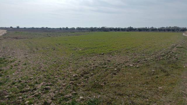 Terreno en Venta en Plaza Plaza Virgen de la Caridad en Camarena
