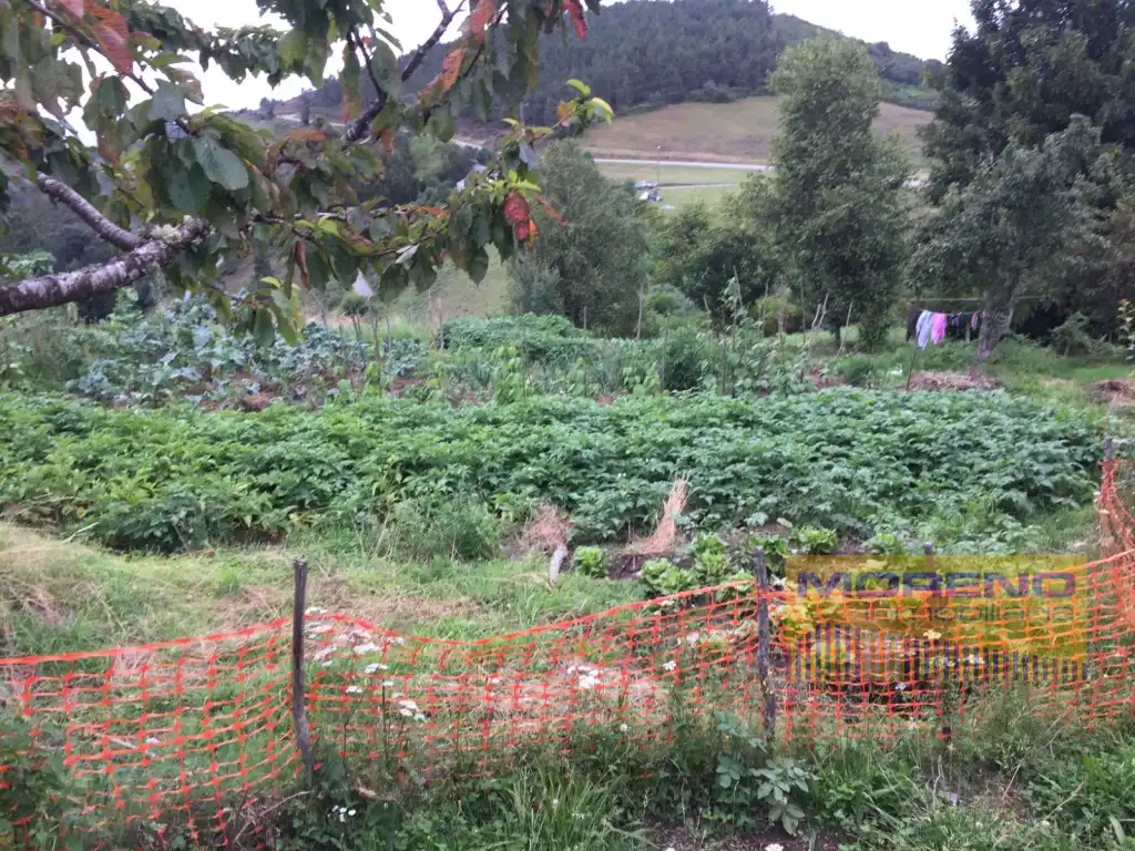 Jardí de Casa o xalet en venda en Navia de Suarna amb Terrassa