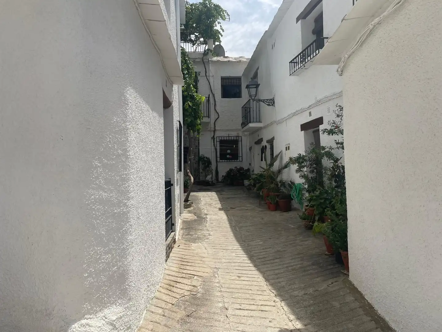 Vista exterior de Finca rústica en venta en Capileira