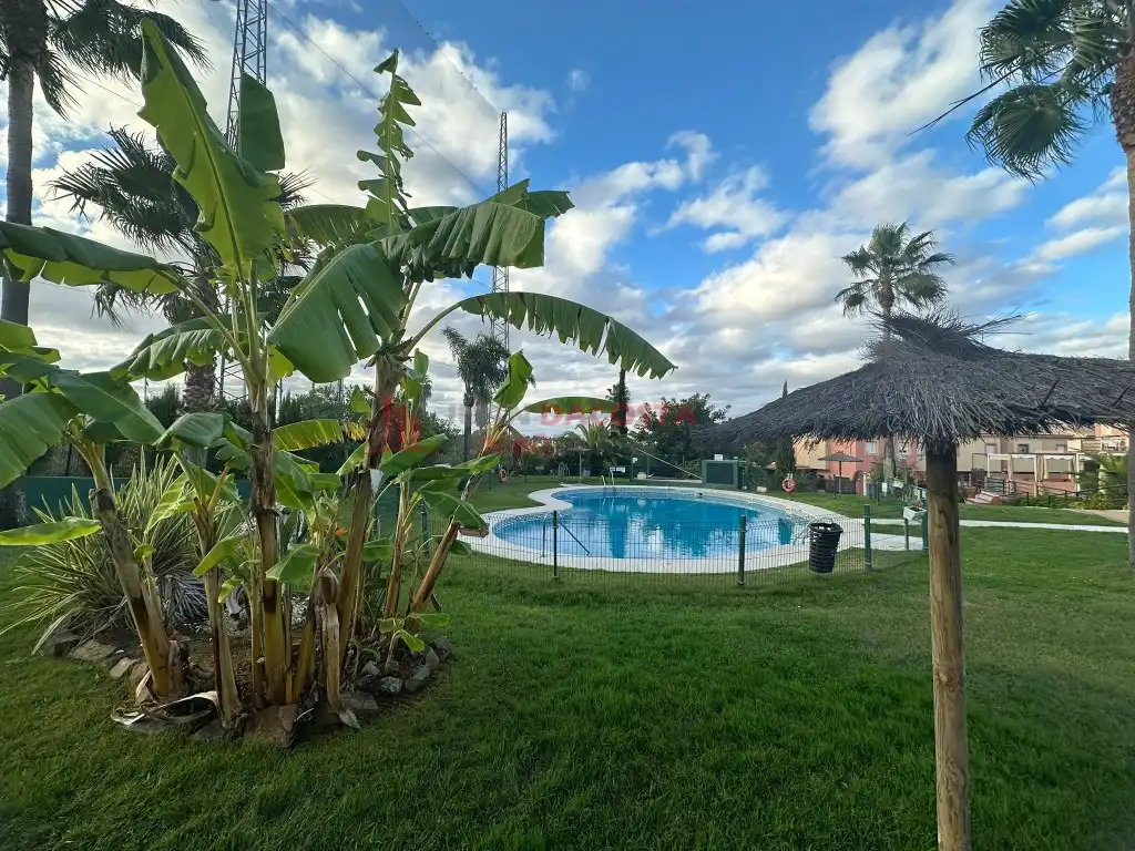 Swimming pool of Apartments for rent in Islantilla