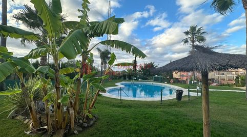 Photo 5 of Apartments for rent in Urbanizacion Uer31, Islantilla Golf, Islantilla