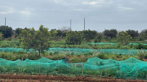 Finca Rúst. en venta en Torredembarra., imatge 5