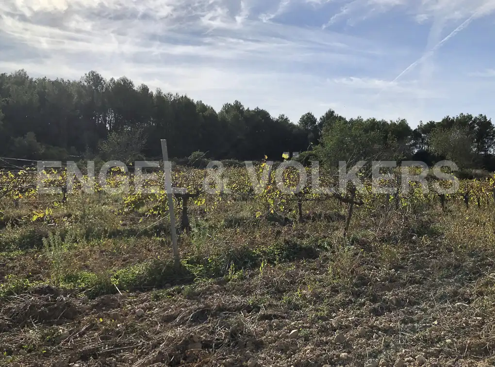 Terreny residencial en venda a Avinyonet del Penedès, imagen 7
