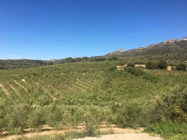 Rural land for sale in Pt Sinyoles o Carxols, imagen 12