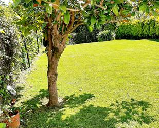 Jardí de Casa o xalet en venda en Mungia amb Calefacció, Jardí privat i Terrassa