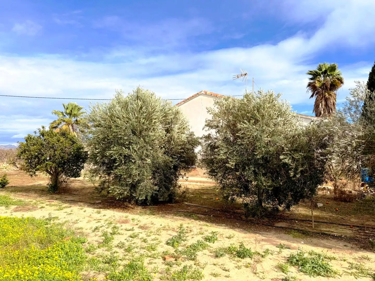 Casa en venta en Las Bayas, imagen 7