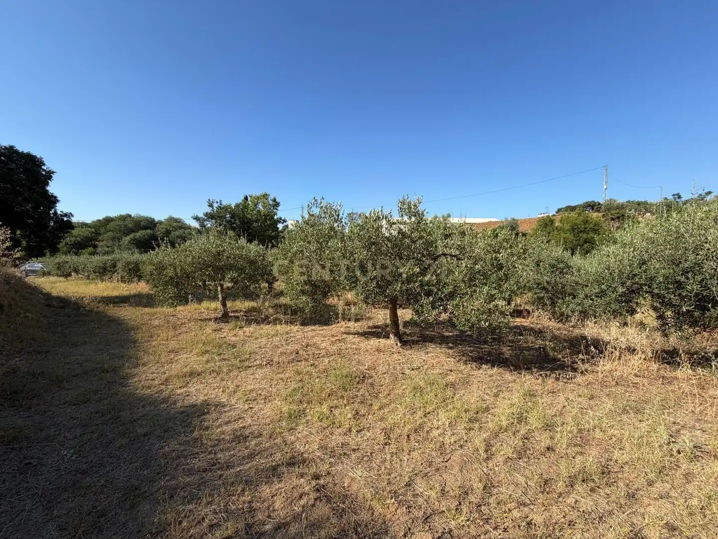 Terreni e lotti in vendita a Polígono 14 Parcela 58 ENTRE RIOS. MIJAS (MÁLAGA), imagen 4