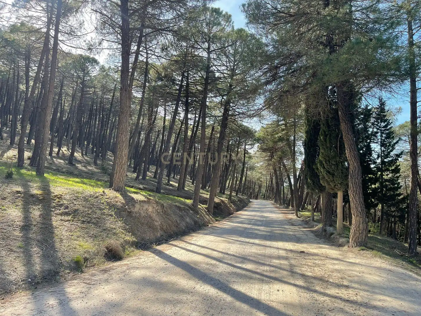 Vista exterior de Casa o xalet en venda en La Zubia amb Jardí privat i Traster