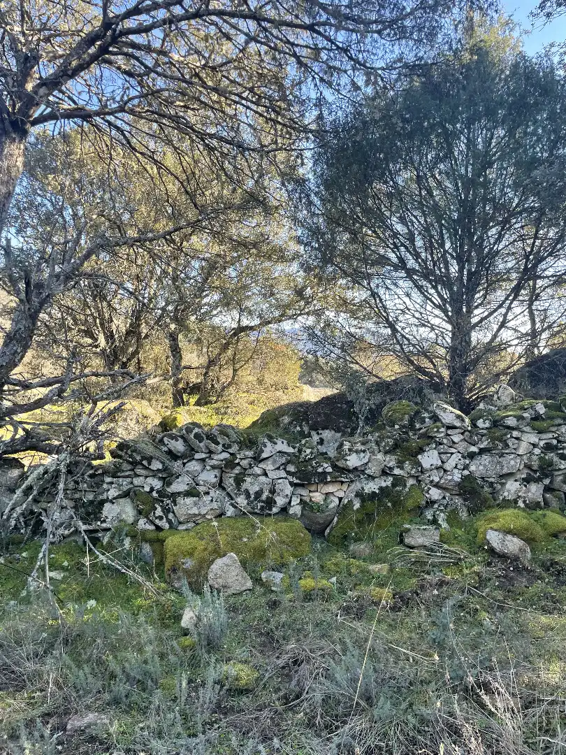 Terreni e lotti in vendita a Fresnedilla, imagen 21
