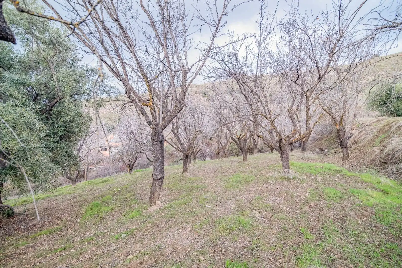 Mini appartamento in vendita a Pinos Genil, imagen 17