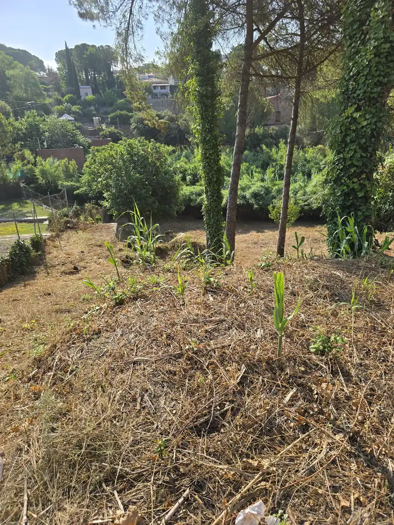 Terrenos y solares en venta en Vacarisses, imagen 14