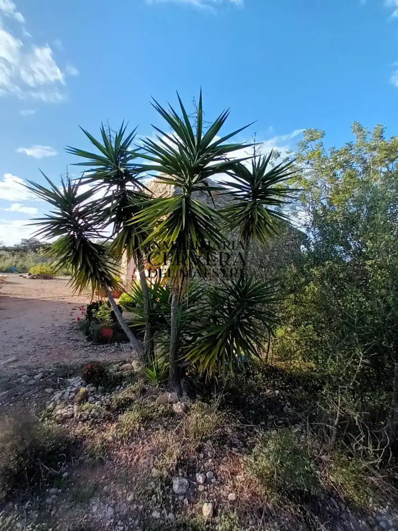 Casa rústica en venta en Cervera del Maestre, imagen 12